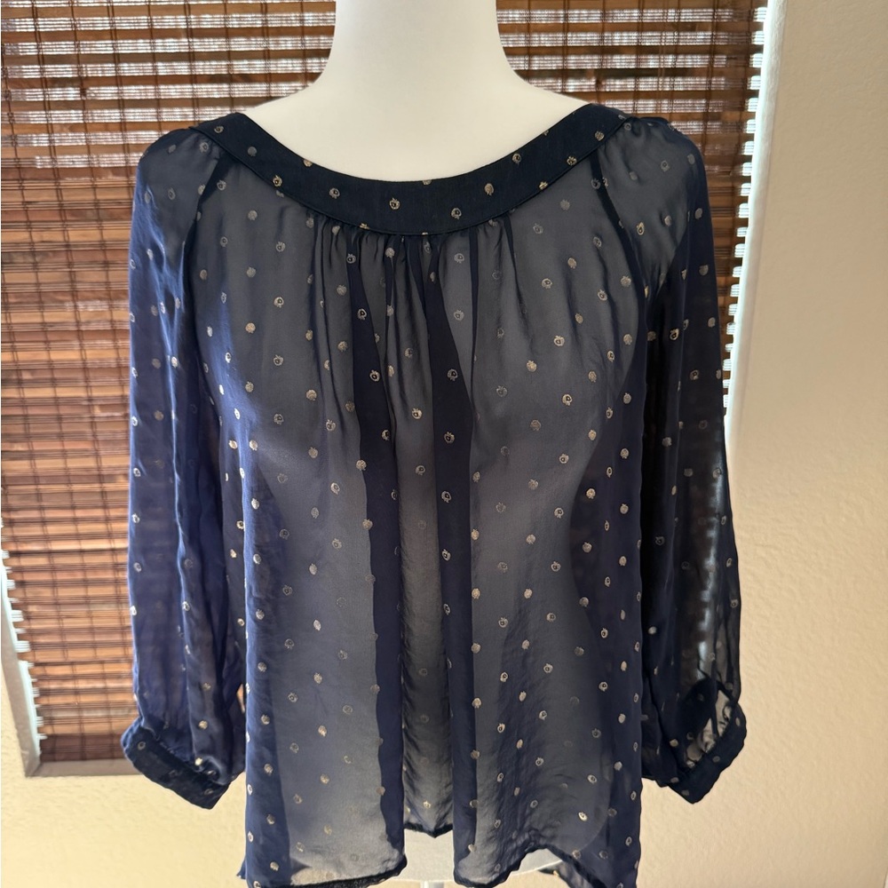 Elegant Navy Sheer Blouse